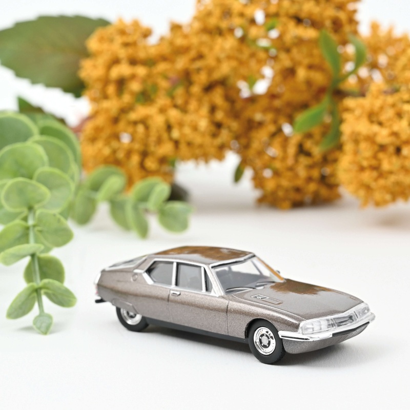 Citron SM 1972 Marron mtallis 1/58