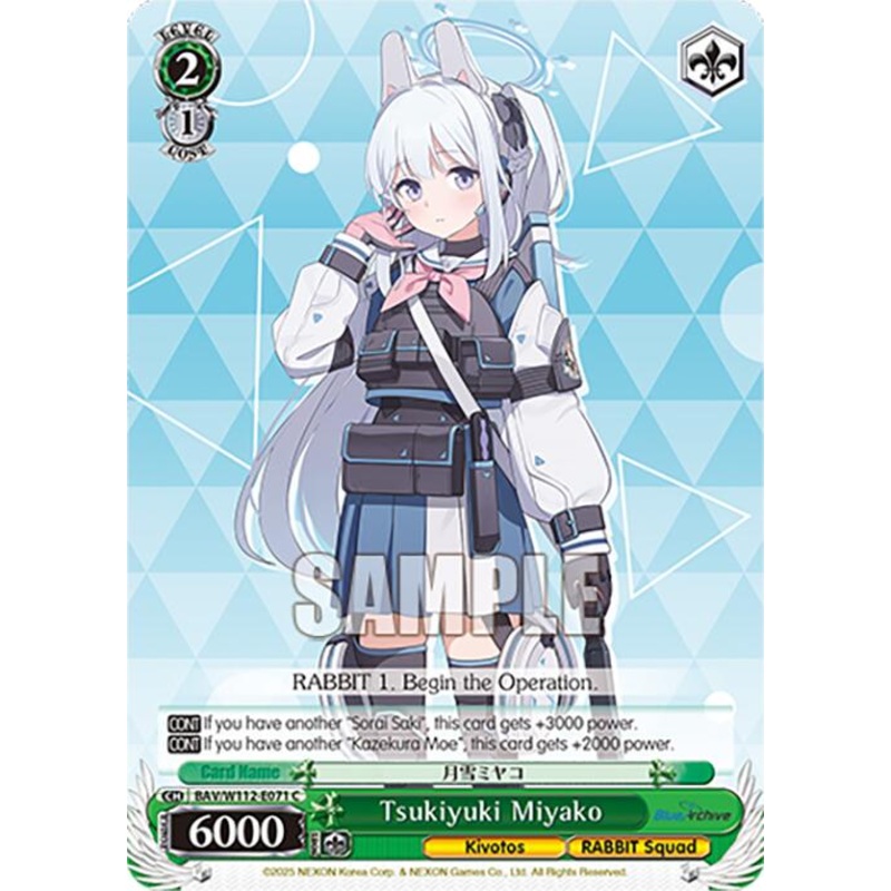 Tsukiyuki Miyako (BAV/W112-E071 C) [Blue Archive]