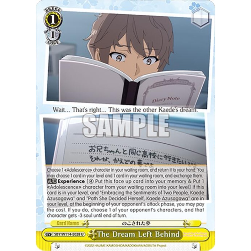 The Dream Left Behind (SBY/W114-E028 U) [Rascal Does Not Dream Series]