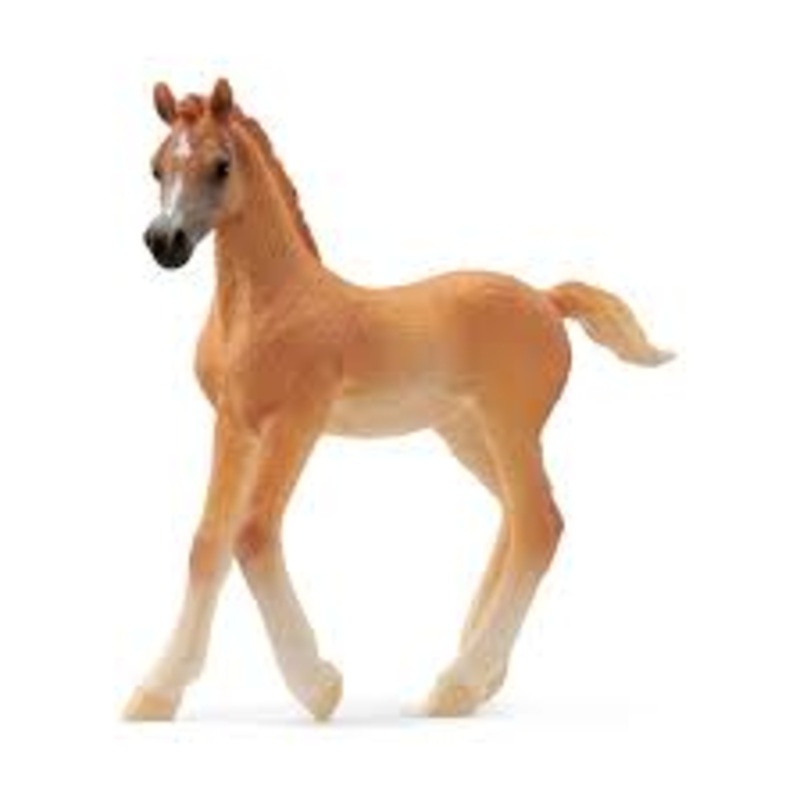 SL13984 Schleich Arabian Foal